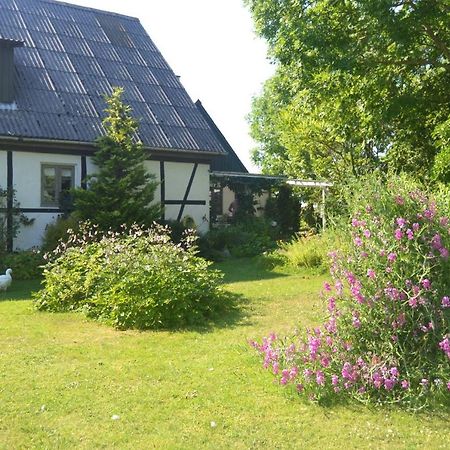 Byens Rareste B&B Harlev  Buitenkant foto