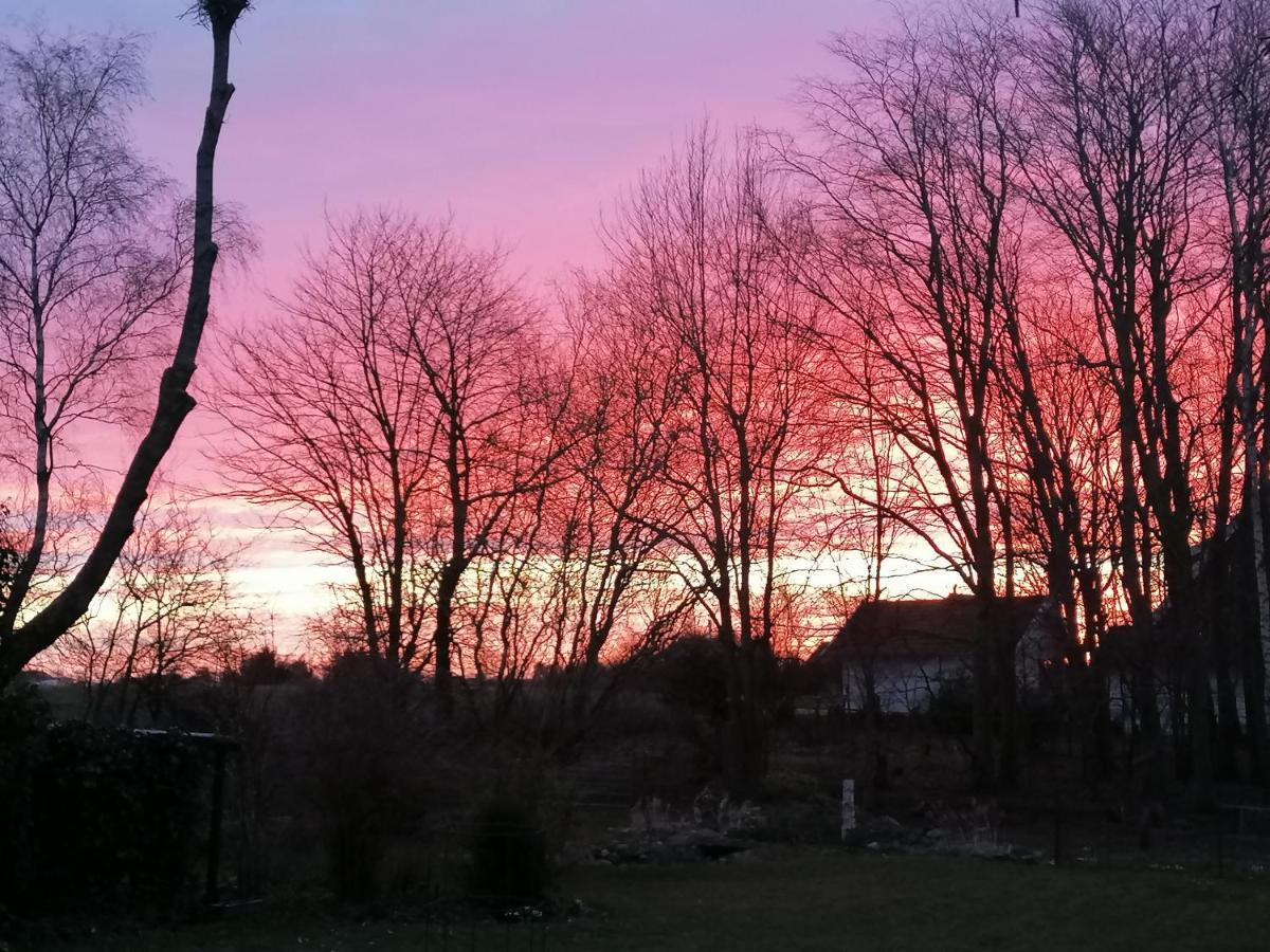 Byens Rareste B&B Harlev  Buitenkant foto
