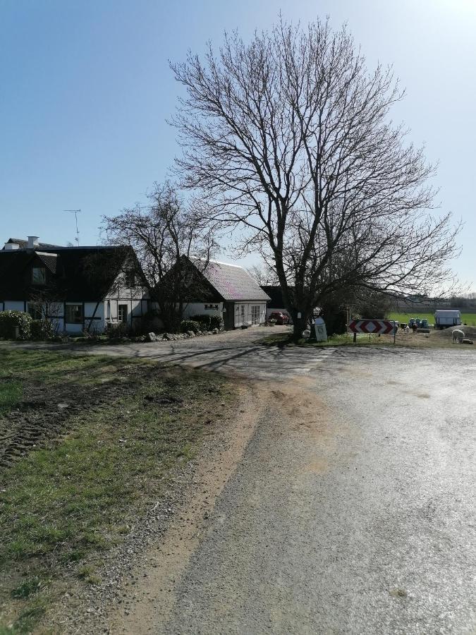 Byens Rareste B&B Harlev  Buitenkant foto